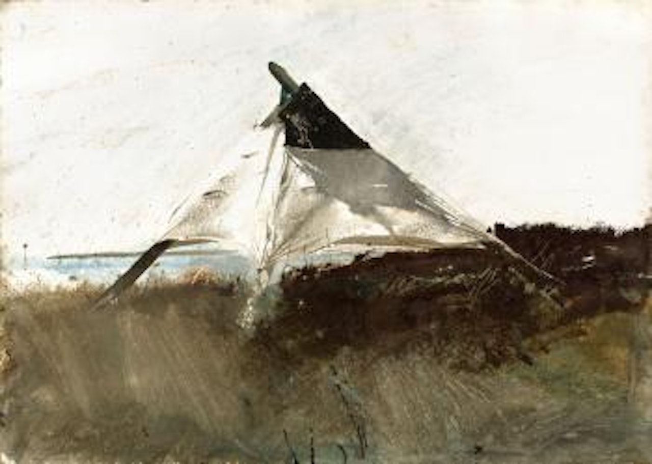 Coastal survey by Andrew Wyeth