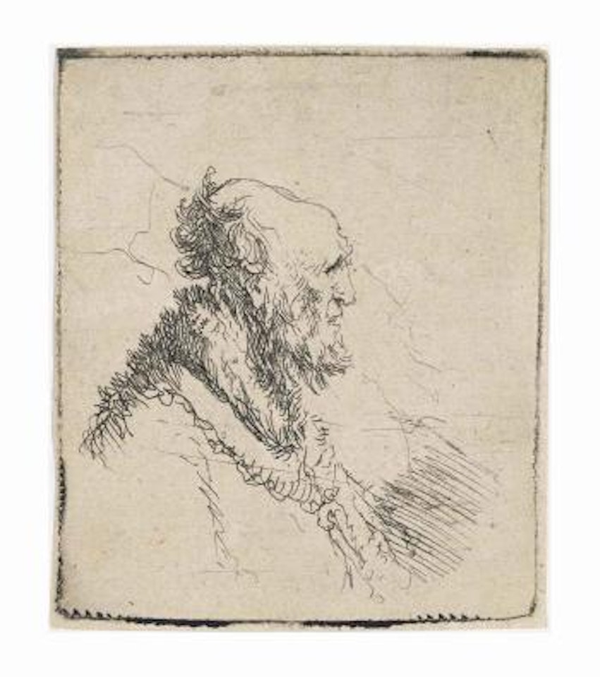 Bald Old Man With A Short Beard, In Profile Right (B, Holl 306; H 136) by Attributed to Rembrandt Harmensz van Rijn