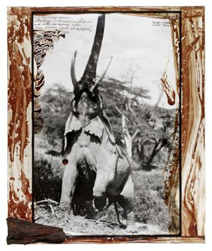 Kenya Elephant by Peter Beard