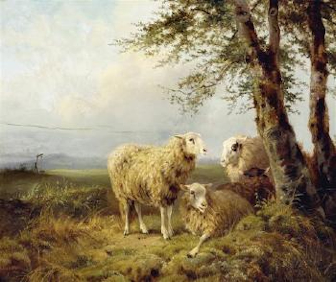 Schafe auf der Weide by August Knip