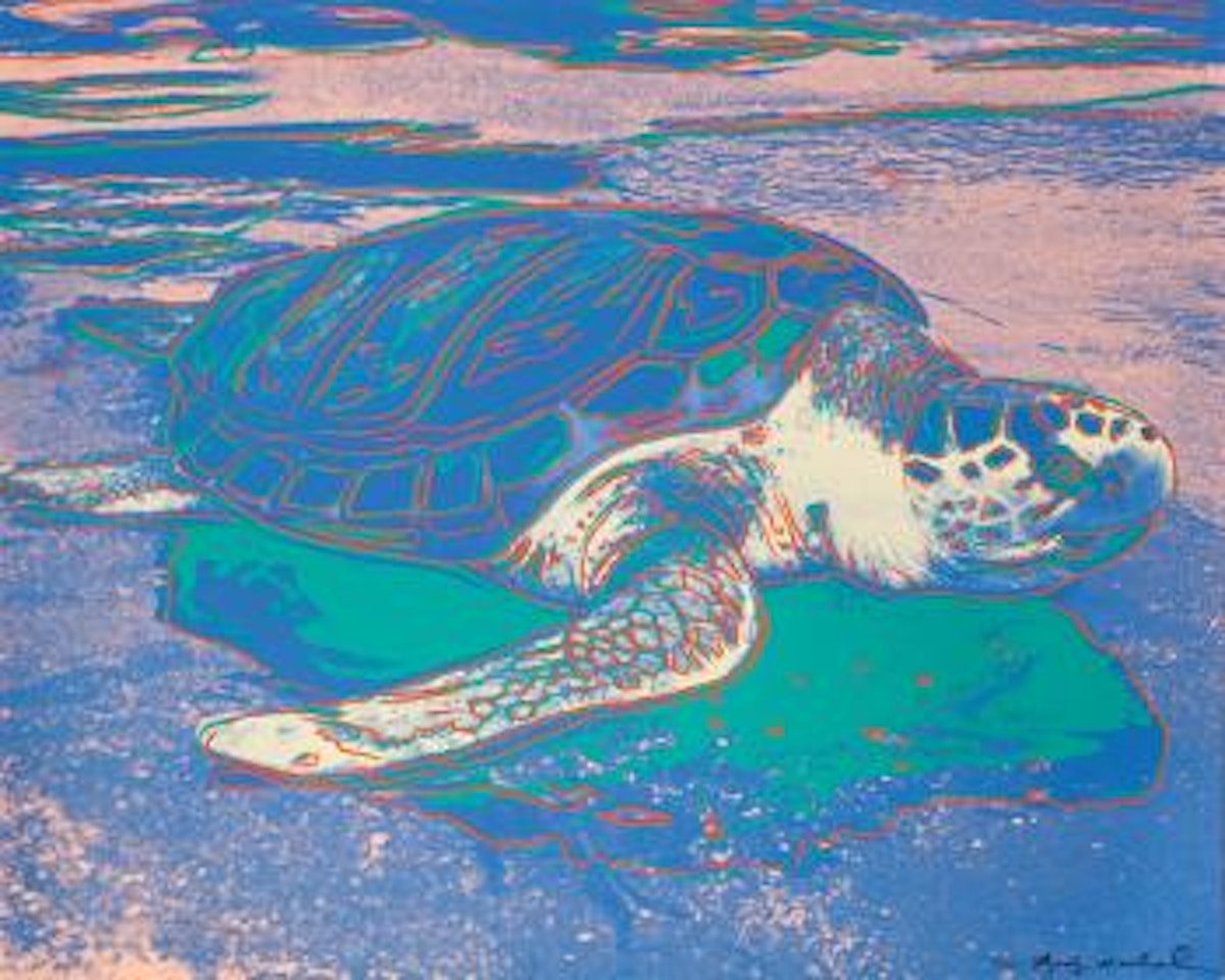 Turtle by Andy Warhol