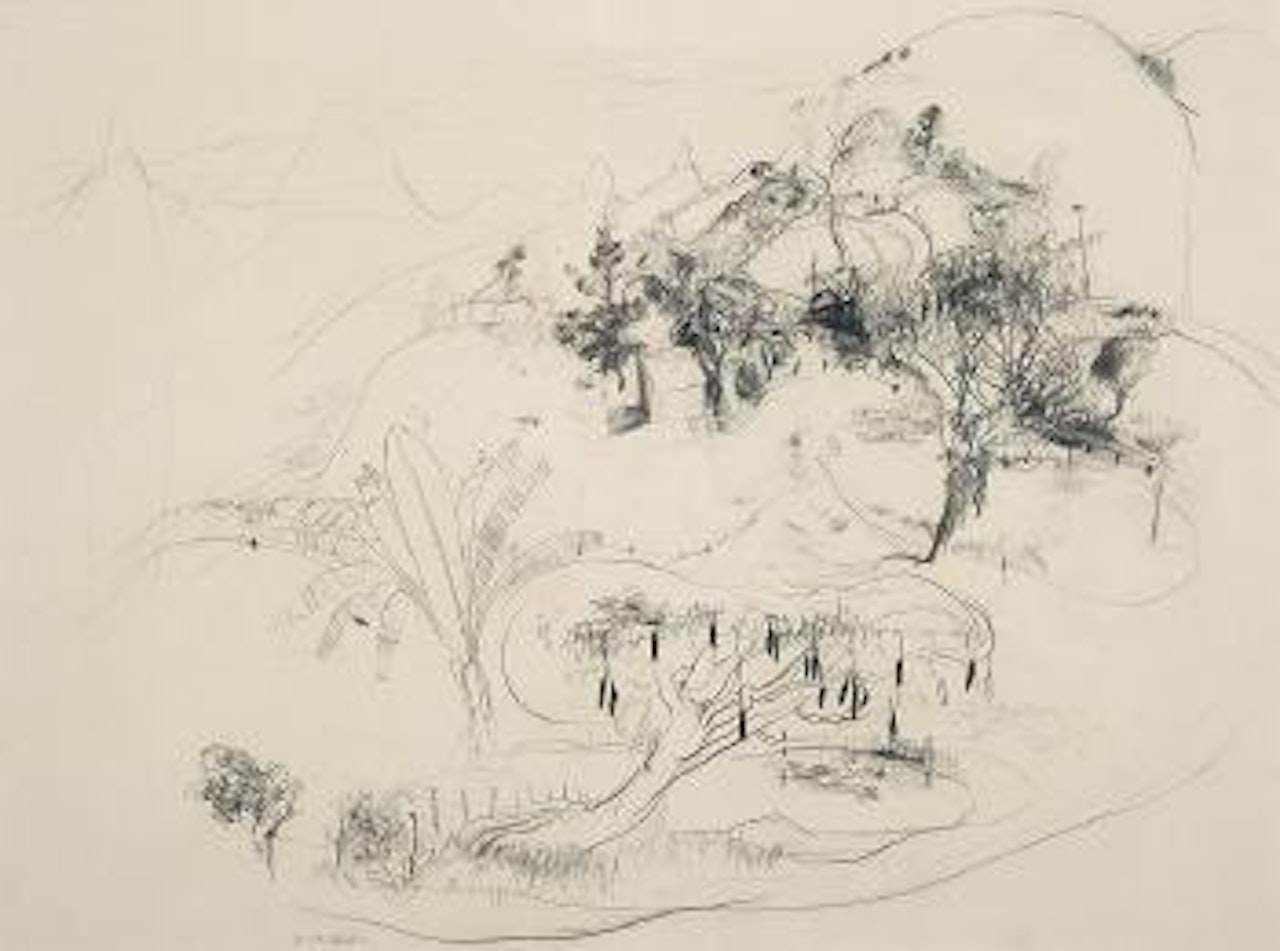 Queensland Sketch by Brett Whiteley
