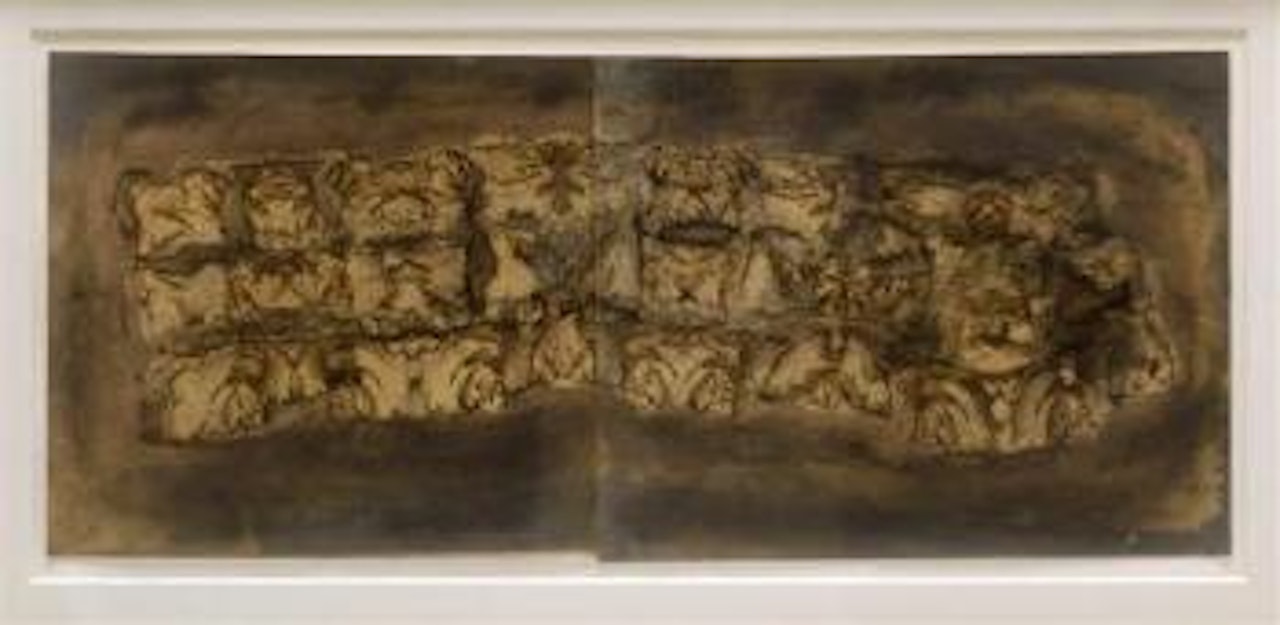 Almohadas de Durero LXI by Francisco Toledo