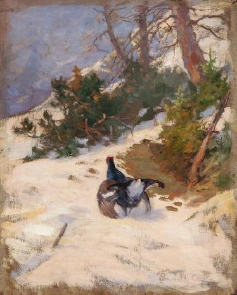 Balzender Auerhahn im Schnee by Hugo Engl