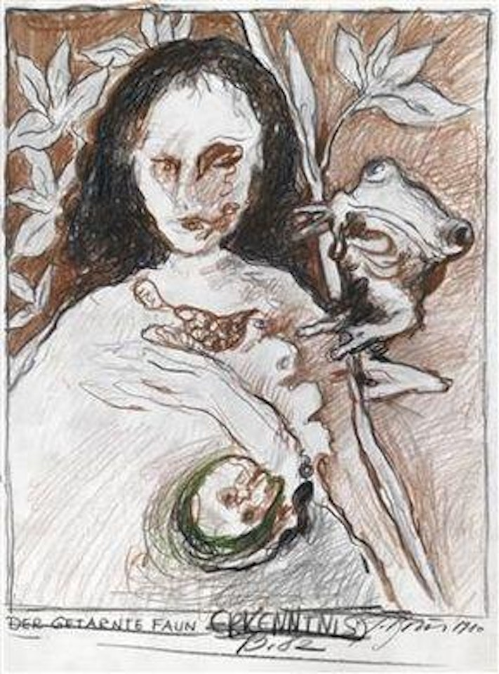 Der getarnte Faun- Erkenntnis by Gunter Brus