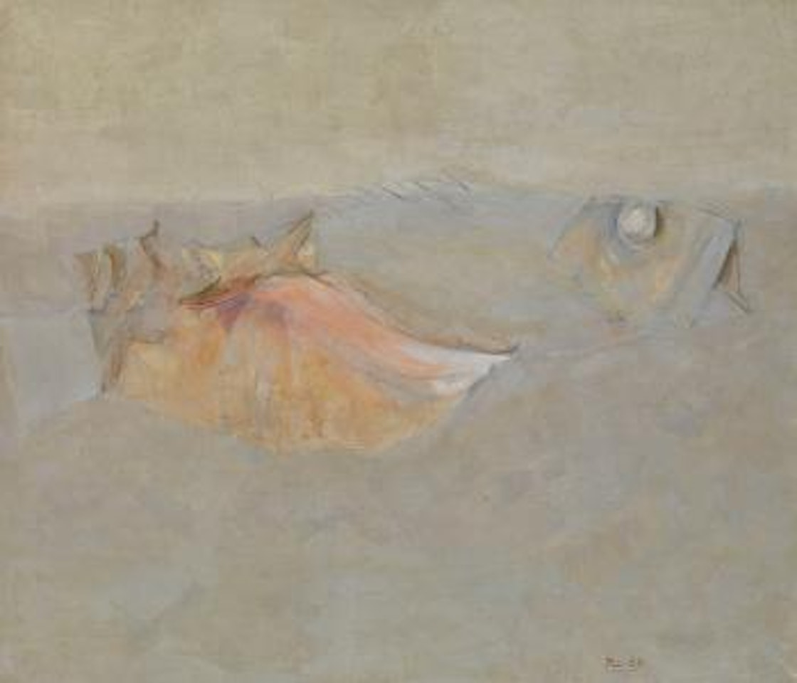 Composition with fish and shell by Edward Steinberg