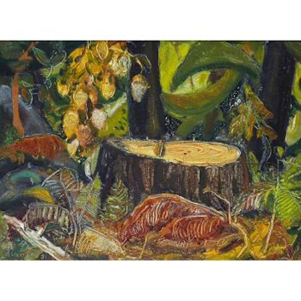 Tree stump, B C forest by Arthur Lismer
