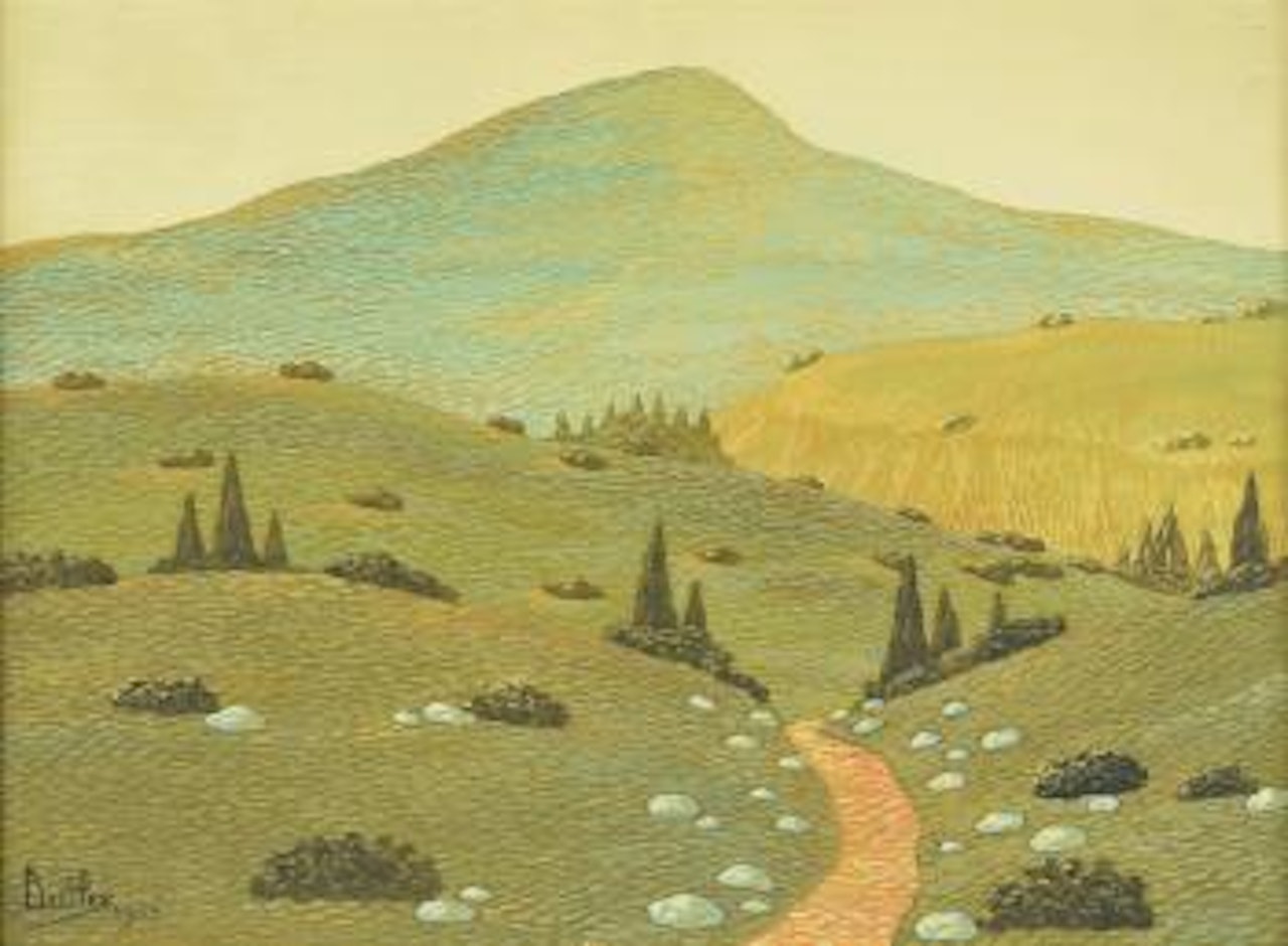 Un camino en la sierra by Fray Guillermo Butler