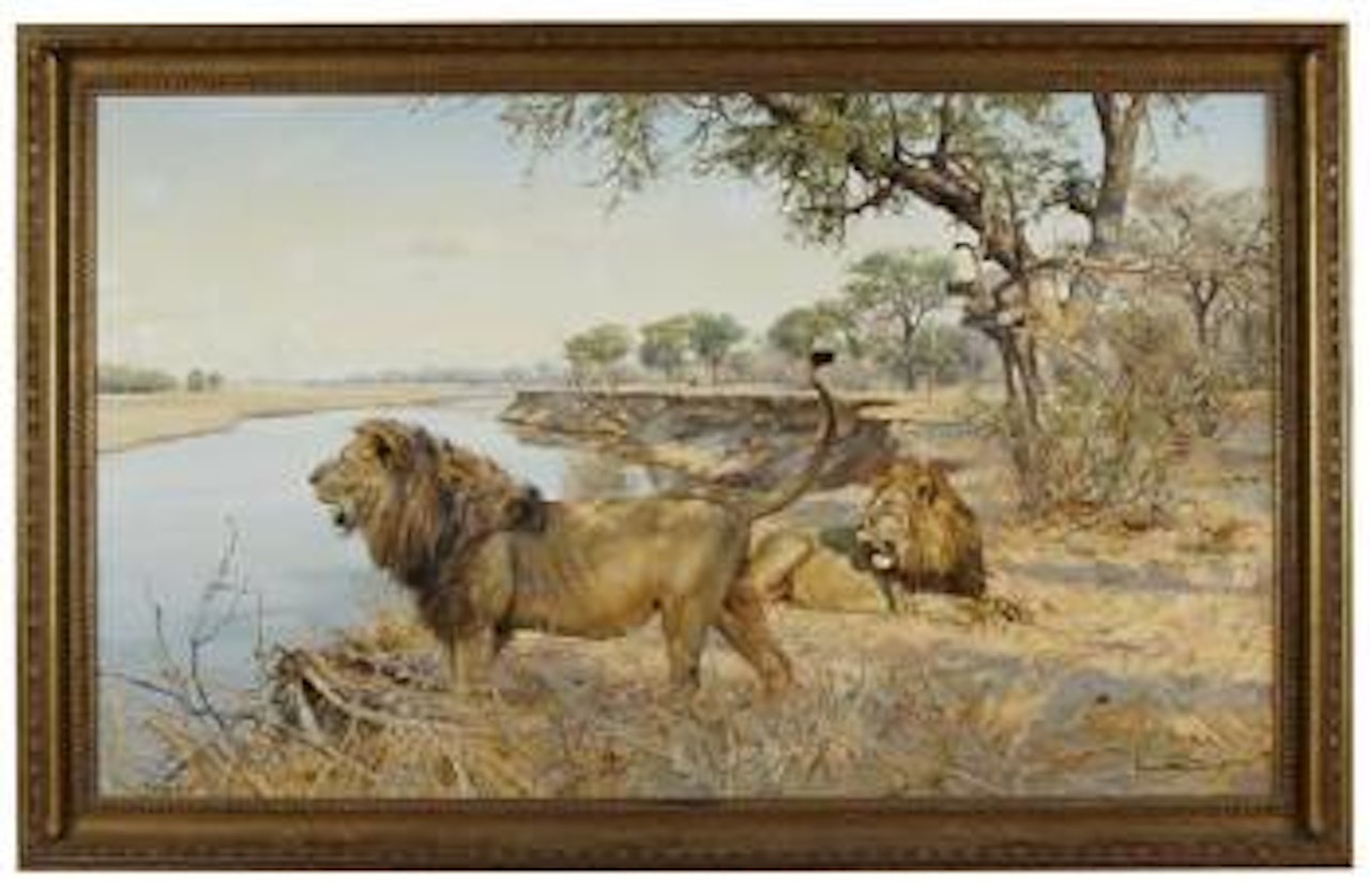 The roar of Africa by Donald Grant