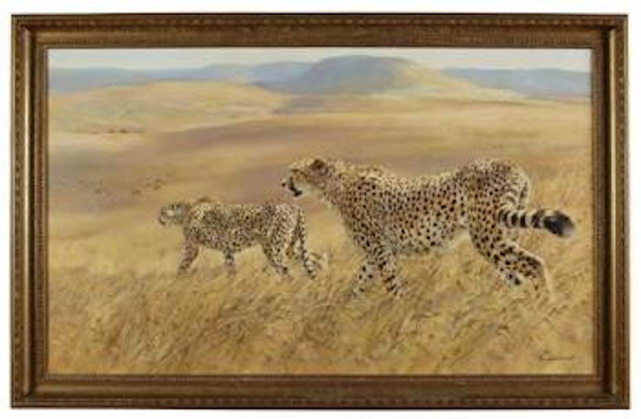 Cheetah on the prowl by Donald Grant