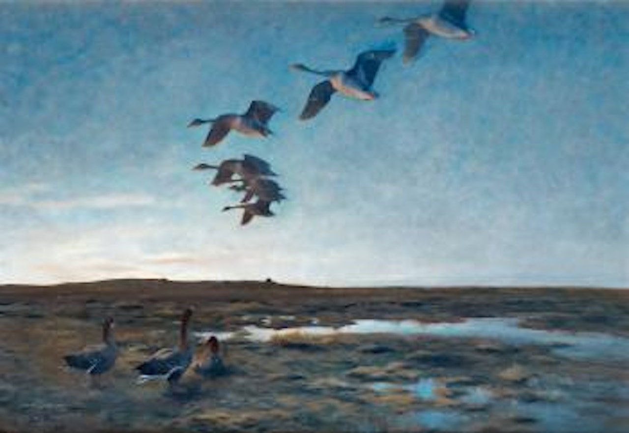 Vildgäss i aftonskymning (Wild geese at dusk) by Bruno Liljefors