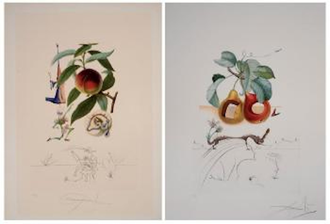 Flora dalinae - les fruits by Salvador Dali