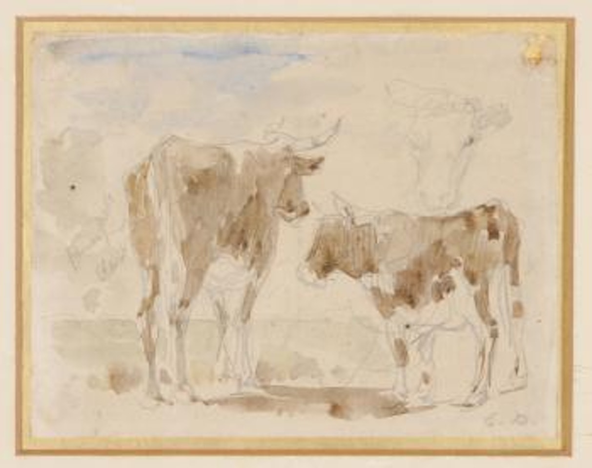 Etudes de Vaches by Eugène Boudin