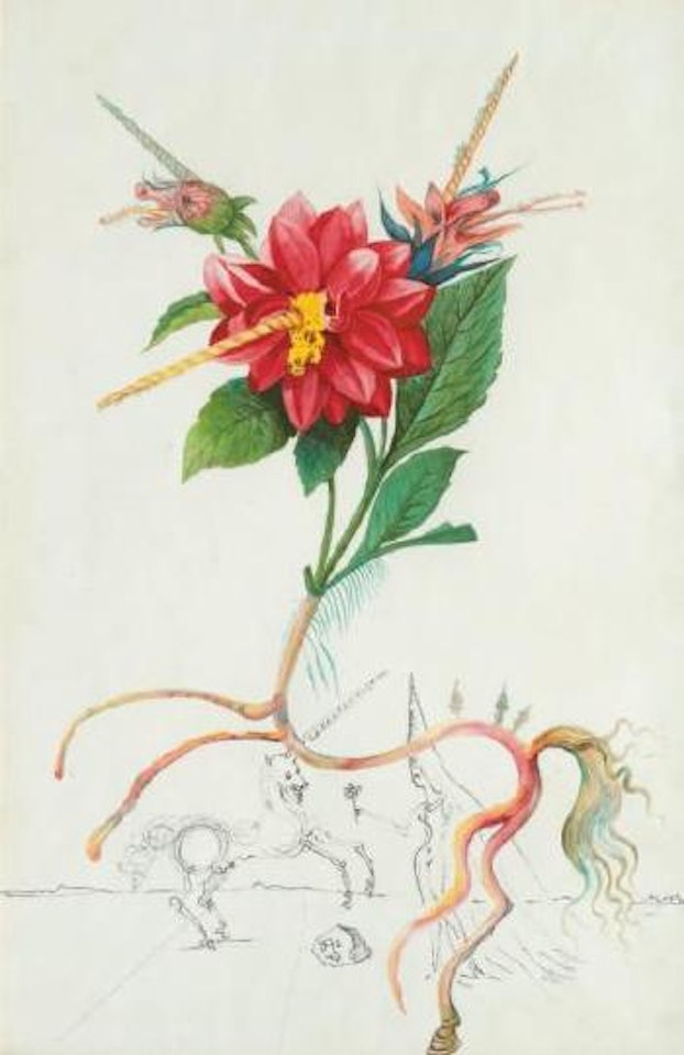 Dahlia unicornis by Salvador Dali