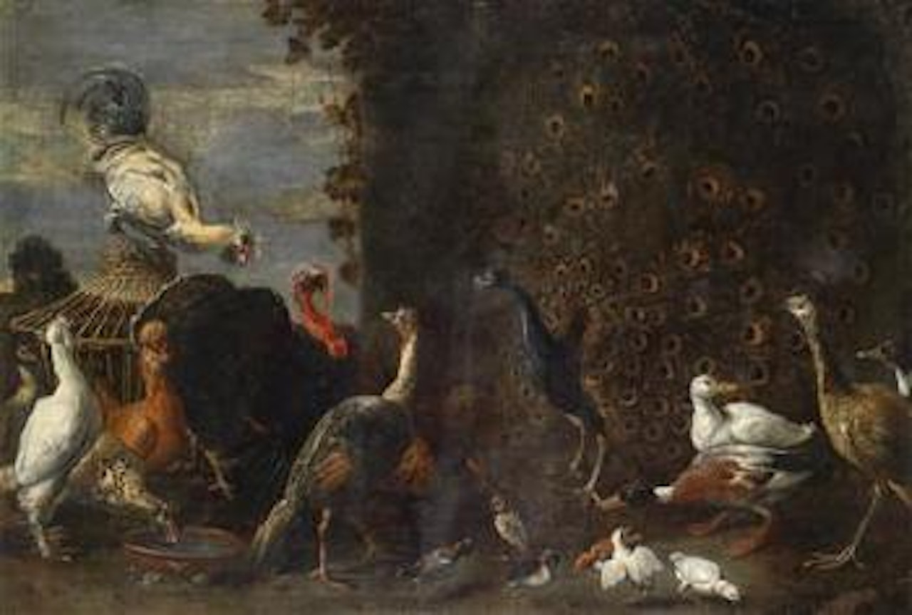 A fowl yard with a peacock, a turkey and ducks by Adriaen van Utrecht
