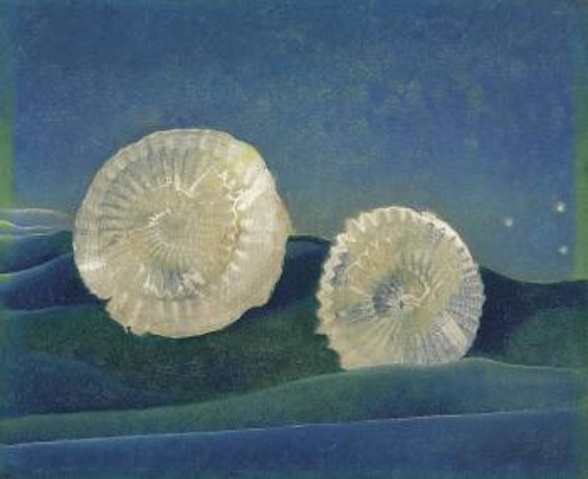 Les coquilles by Max Ernst