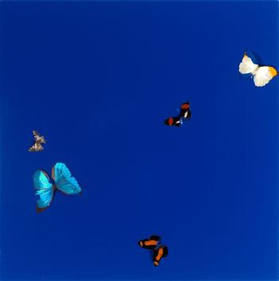 I need love by Damien Hirst