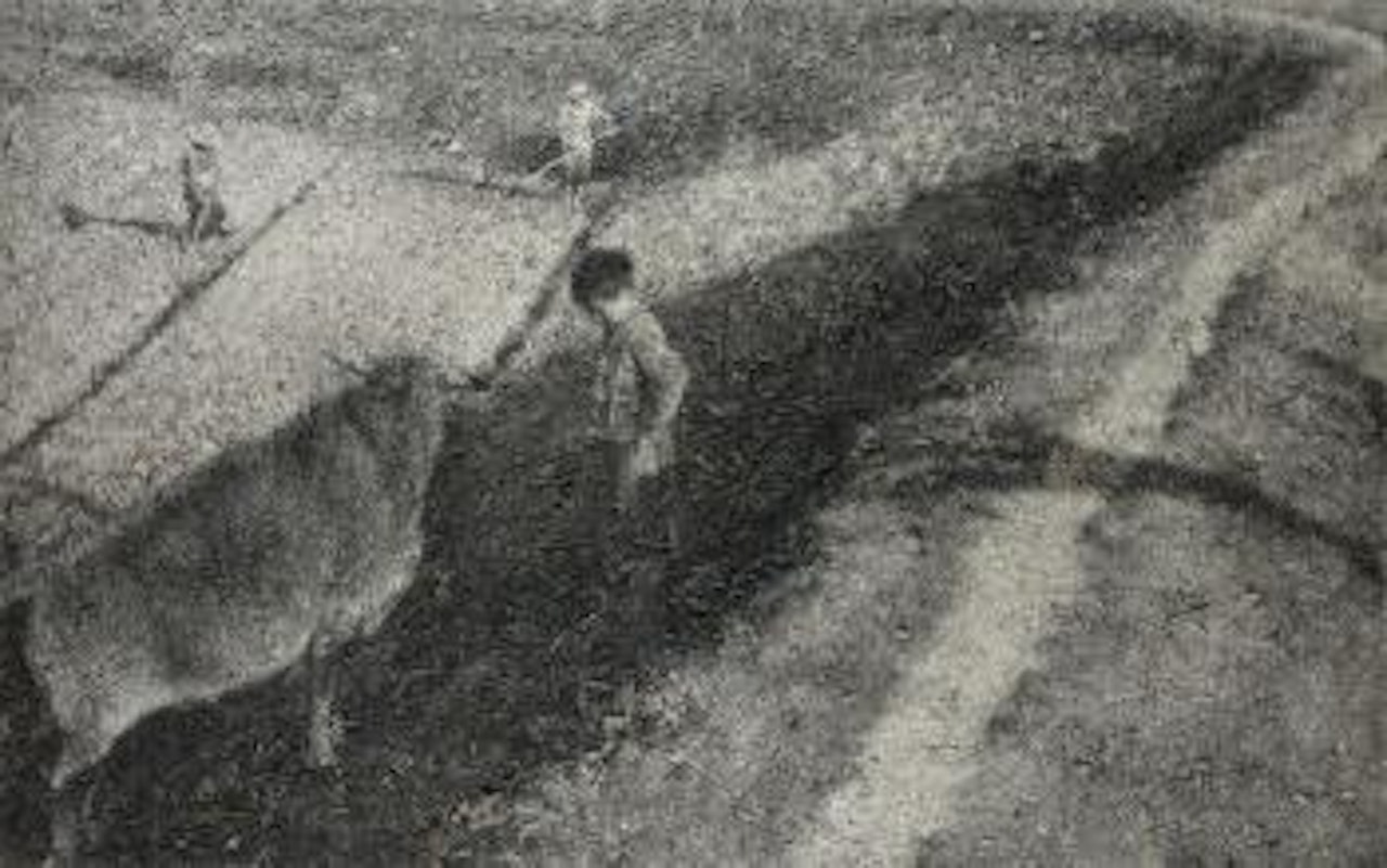 Grazing by Zhang Huan