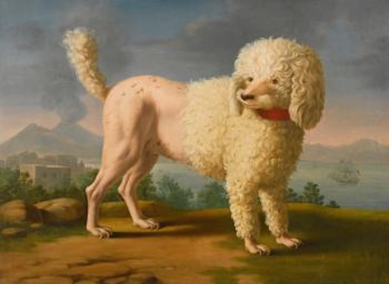 Portrait Of Codina, Believed To Be Lady Hamilton's Poodle, The Bay Of Naples With a British Man-o-war And Vesuvius Beyond by Neapolitan School