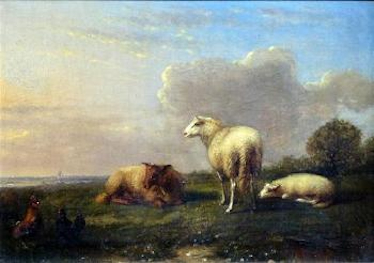 Sheep and poultry by Eugène Joseph Verboeckhoven