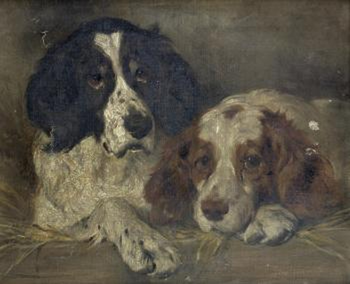 Spaniels resting by John Emms