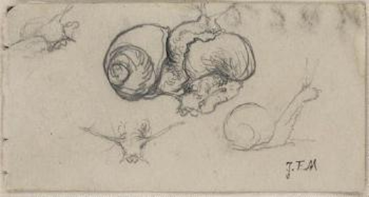 Studies of Snails and a Head Study by Jean-François Millet