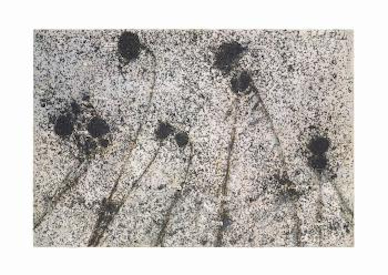 Die Berühmten Orden der Nacht (The Renowned Orders of the Night) by Anselm Kiefer