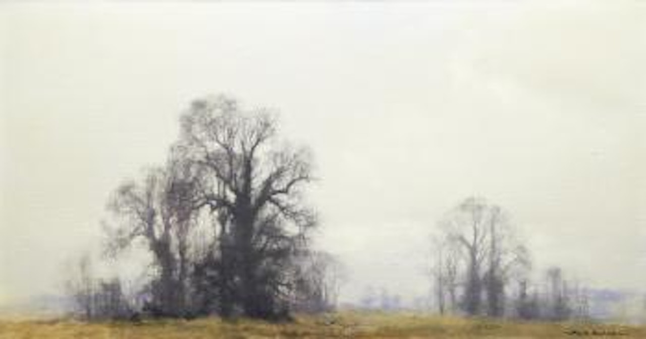 Deep Winter by David Shepherd