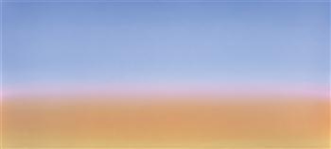 29 Palms by Anselm Reyle