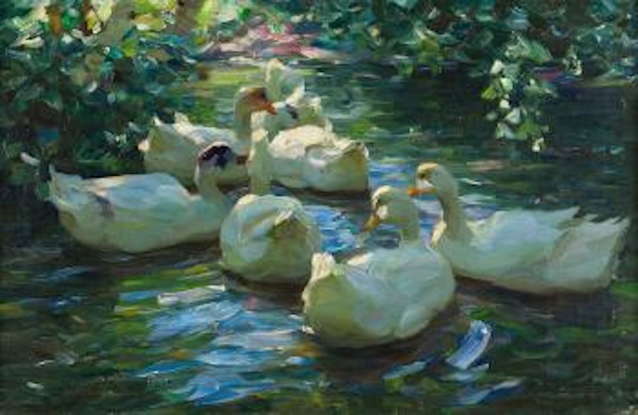 Enten im Teich by Alexander Koester