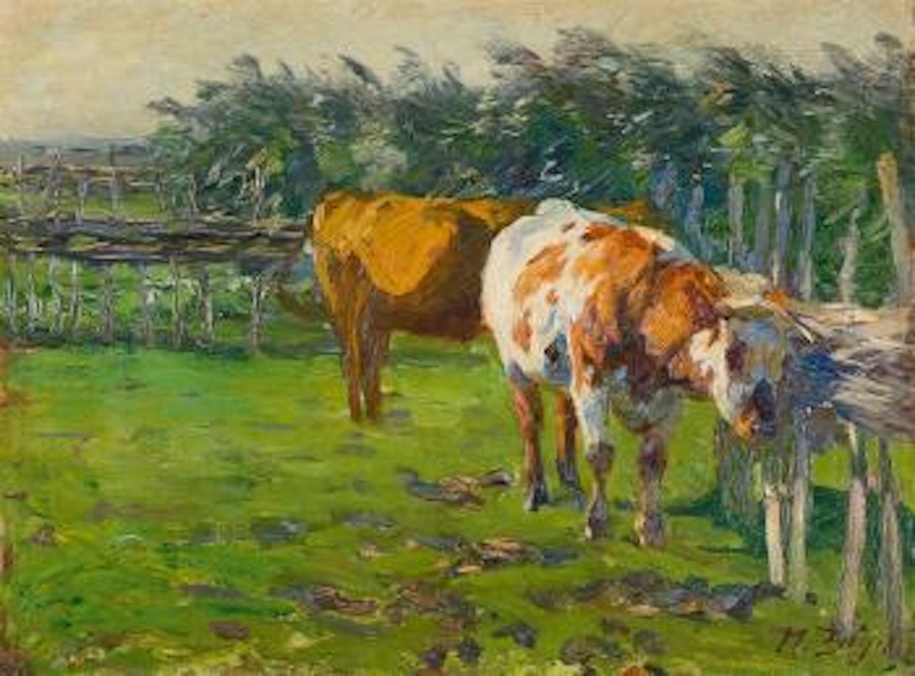Junger Stier reibt Schädel am Zaun by Heinrich von Zugel