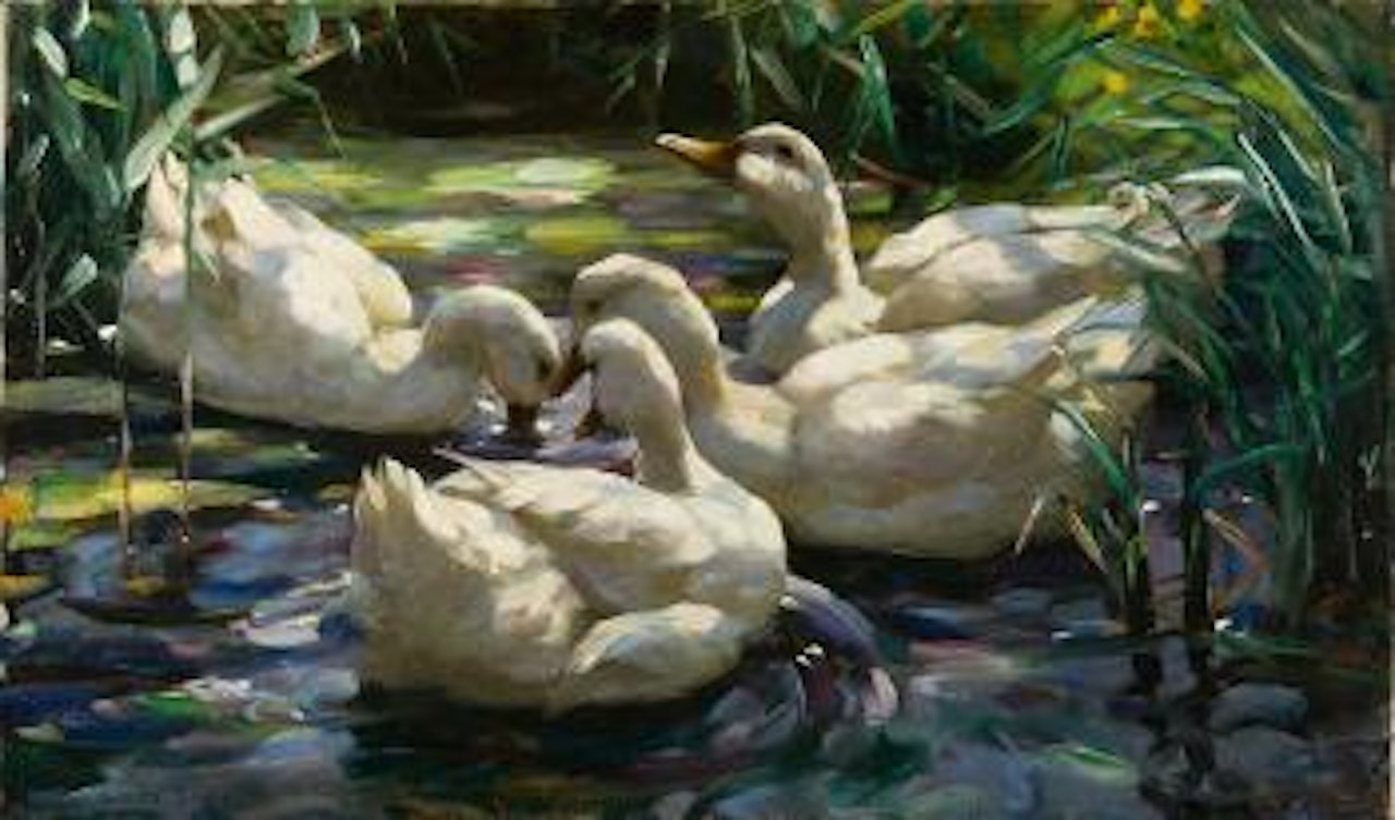 Enten im Schilf by Alexander Koester