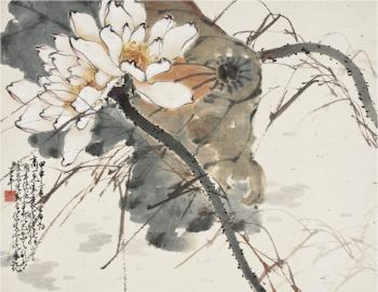 Lotus by Zhao Shao'ang