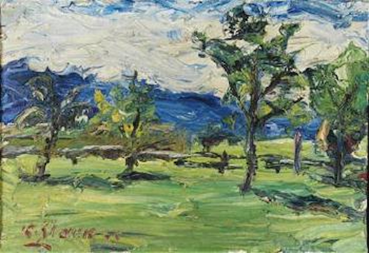 Sommerlandschaft im Drautal by Karl Stark
