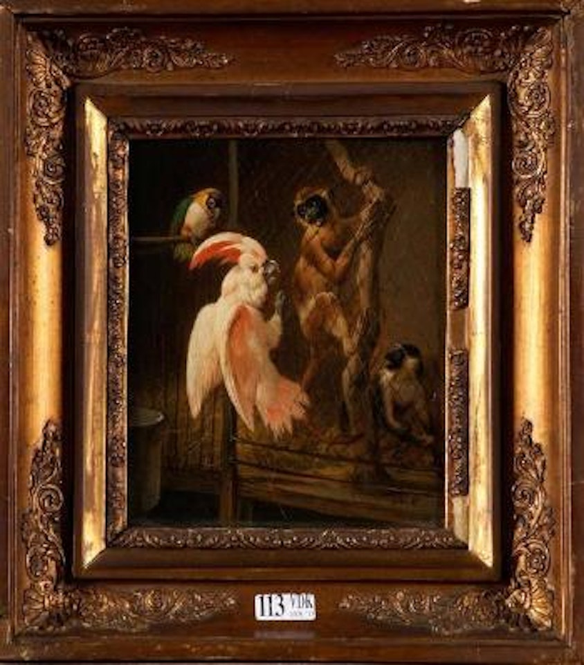 Singes et perroquets by Henriette Ronner-Knip