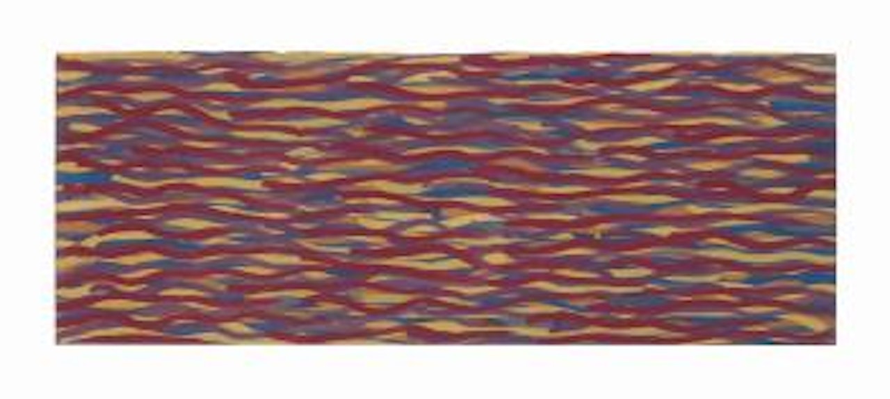 Lines in Color by Sol LeWitt