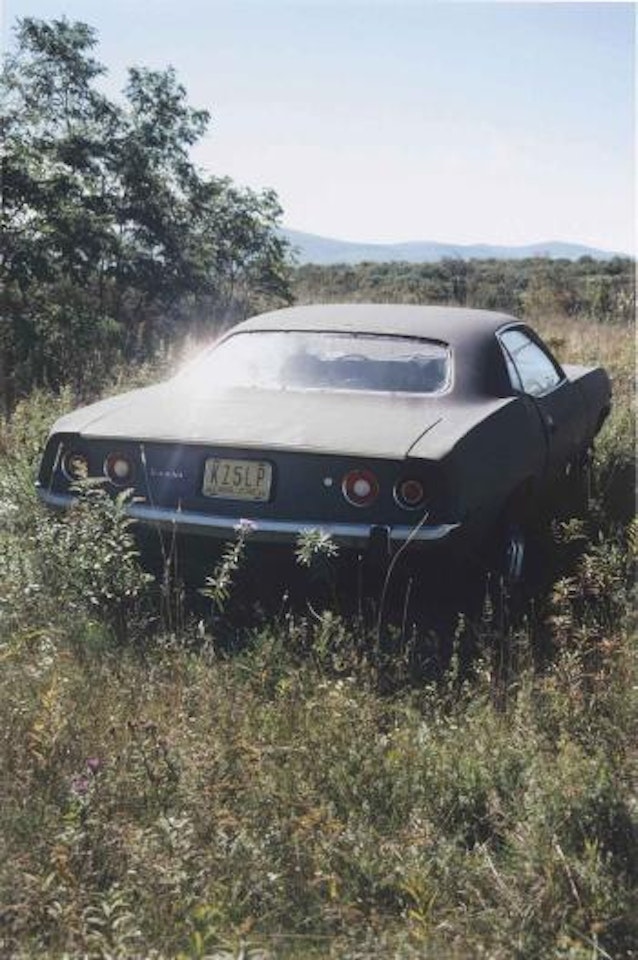Untitled (Upstate) by Richard Prince