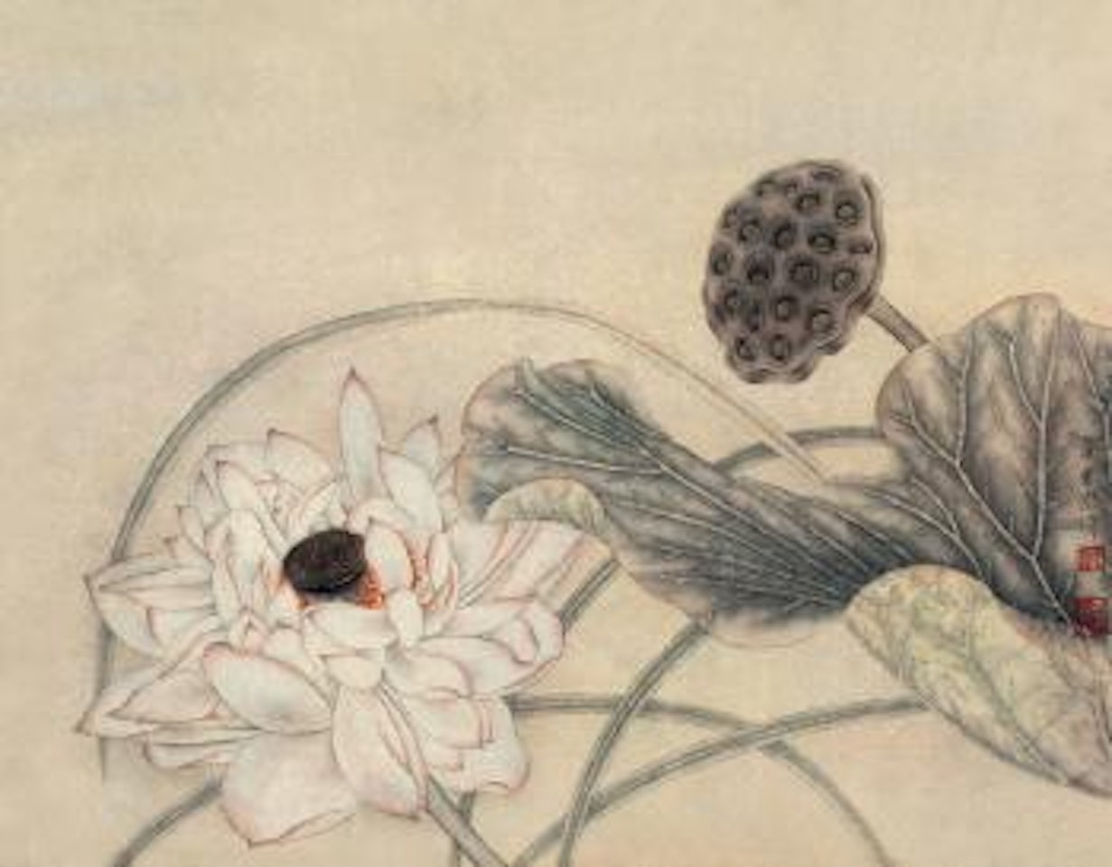 Lotus by Jiang Hongwei