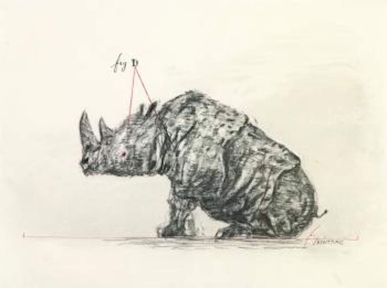 Drawing For The Magic Flute (Tamino's Rhinoceros) by William Kentridge