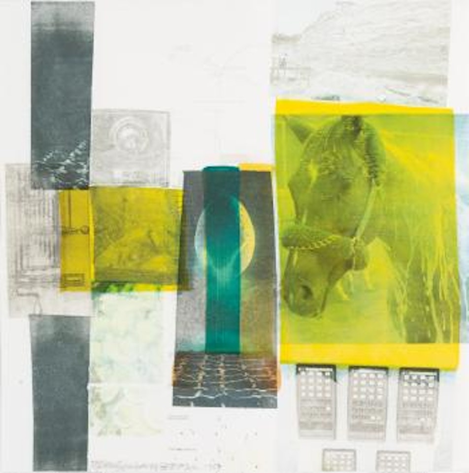 Shrub by Robert Rauschenberg