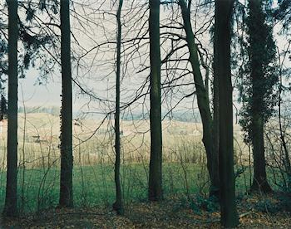 Am Eschberg - no. 15, Winterthur by Thomas Struth