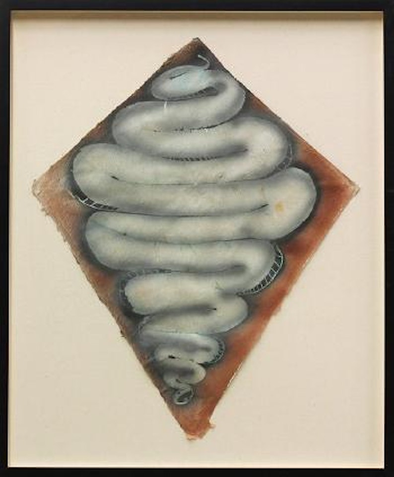Serpentine form by Francisco Toledo