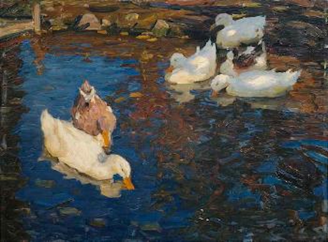 Sechs Enten im Teich by Alexander Koester