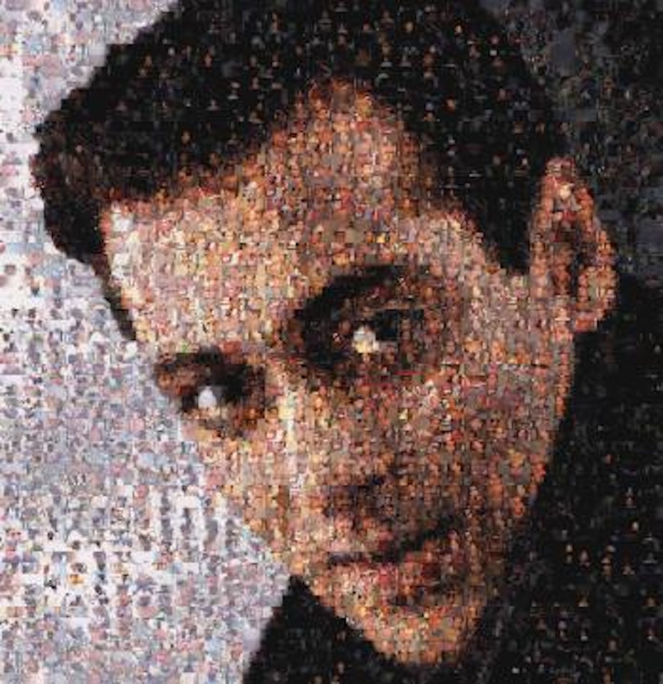 Ommatidia II (Salman Khan) by Rashid Rana