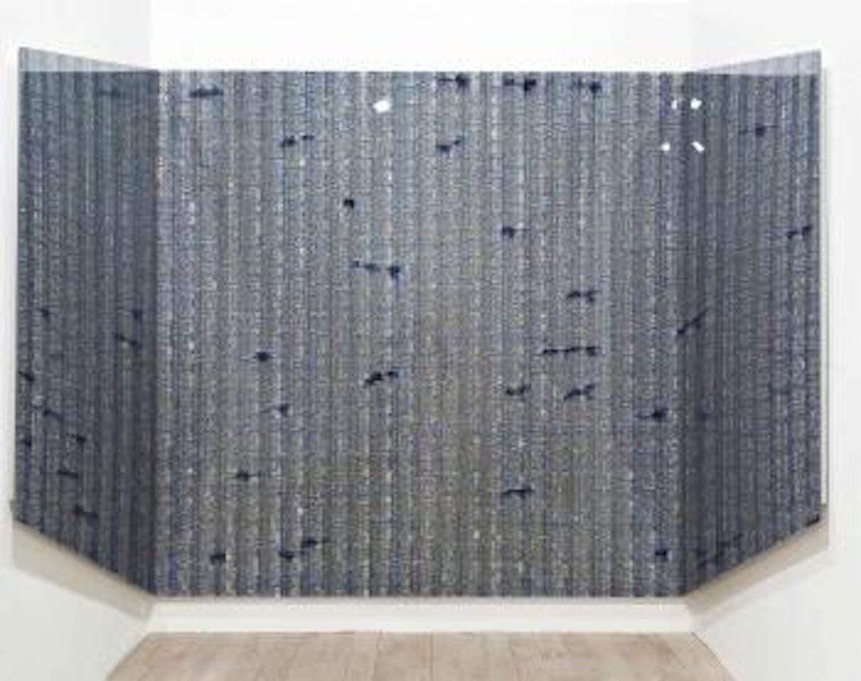 News Archive Video -- Still of Dead Birds Flying by Rashid Rana