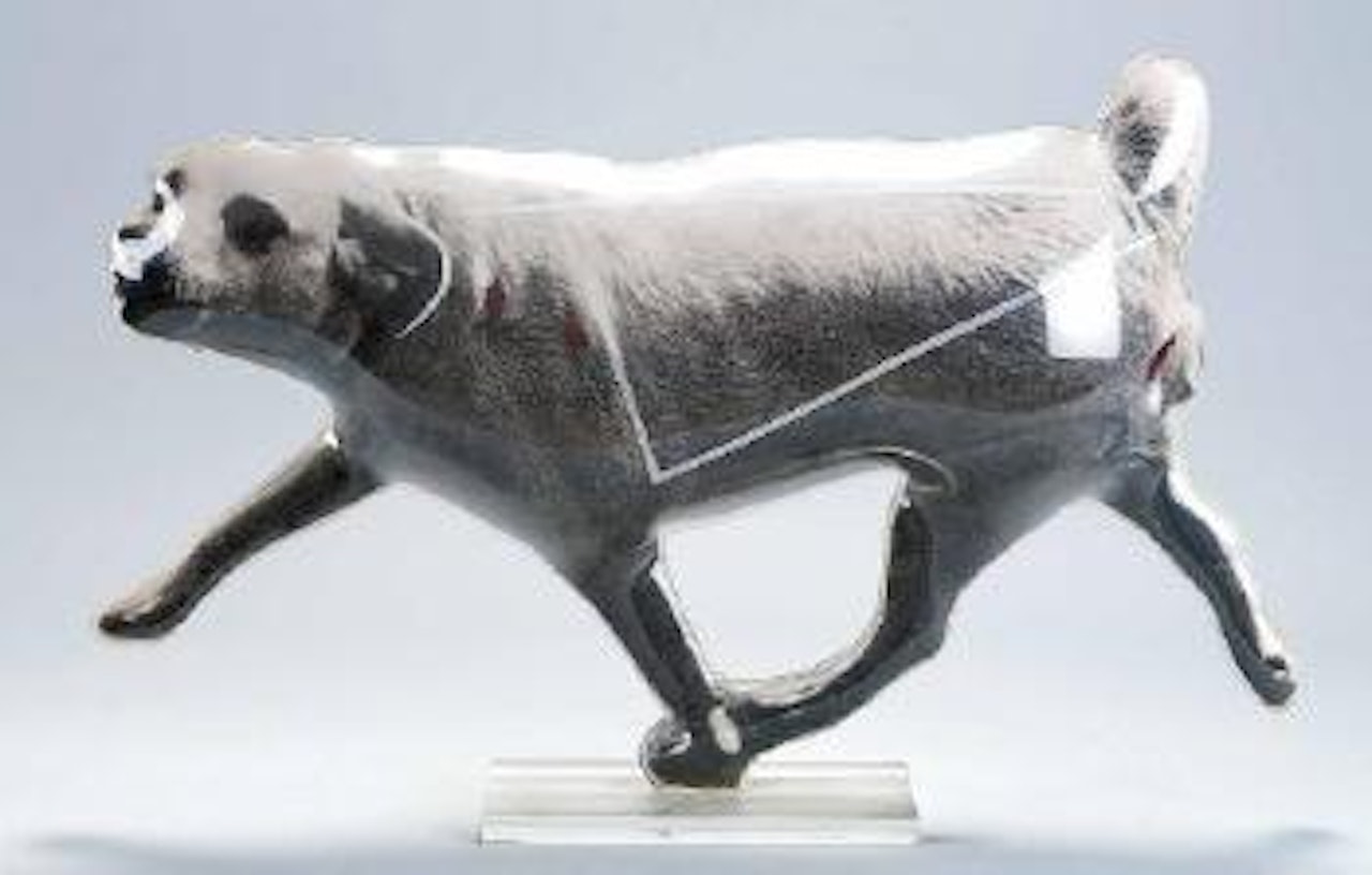 Perro by Darío Villalba