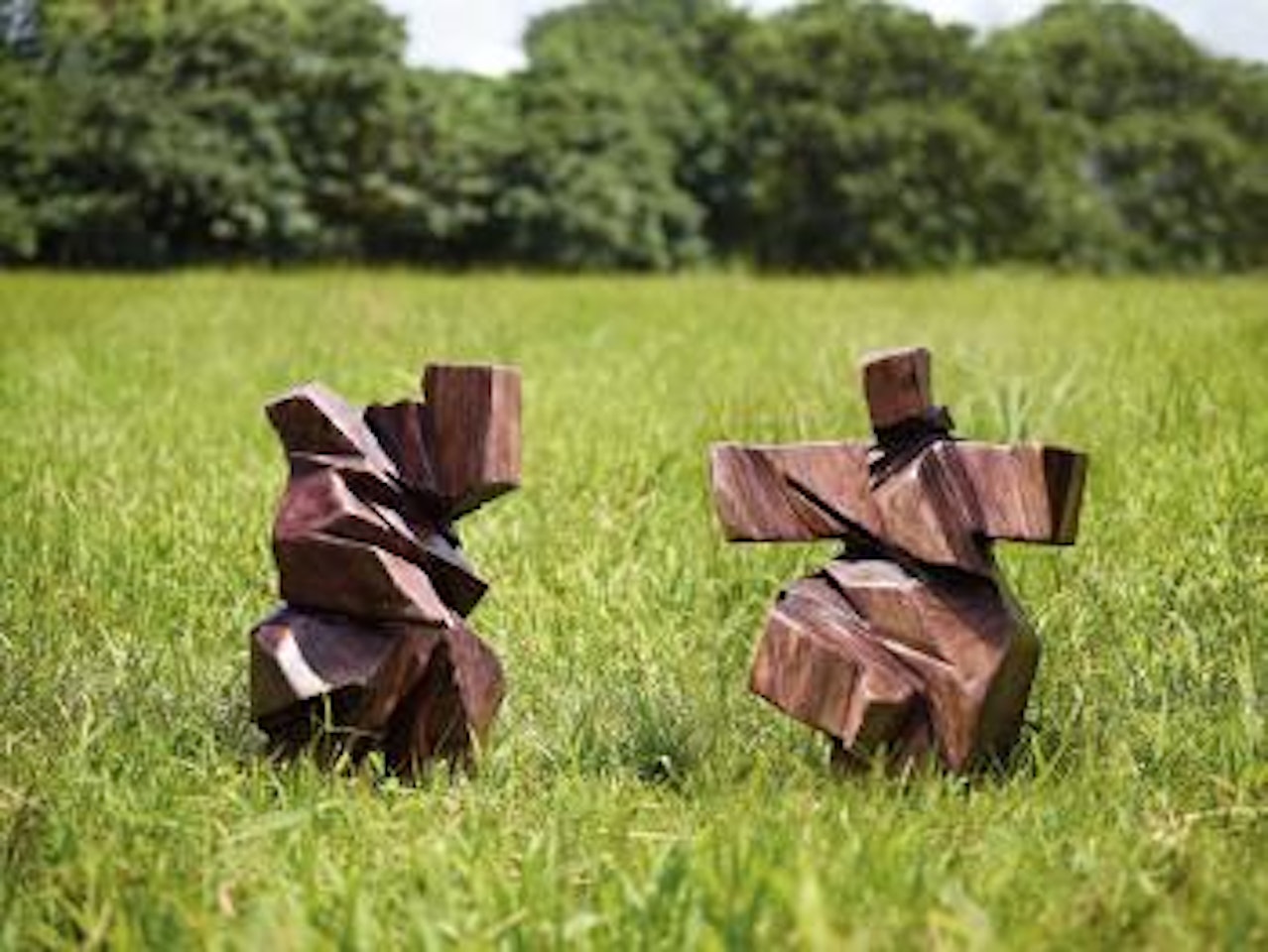 Taichi Series – Shadow Boxing by Ju Ming