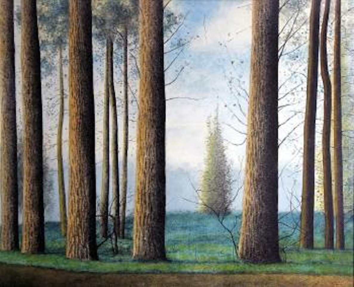 Trees by Léon Spilliaert