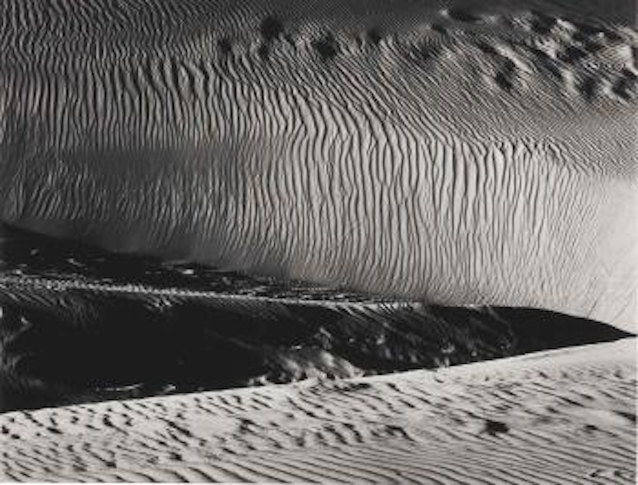 Dunes, Oceano by Edward Weston