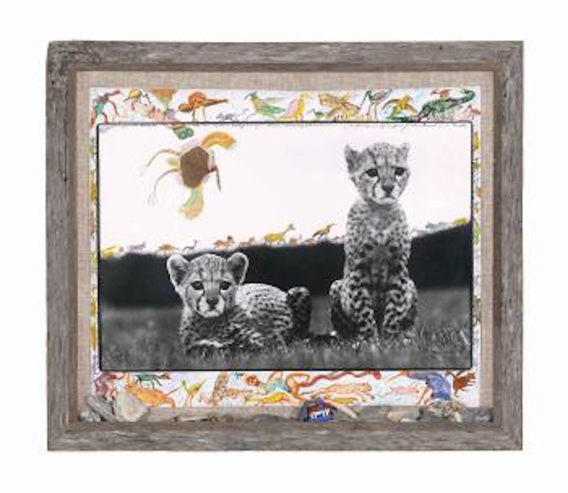 Orphaned Cheetahs, Kenya, from 'The End of of the Game' by Peter Beard